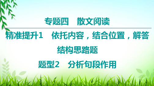 2020年高三语文二轮复习散文阅读分析句段作用