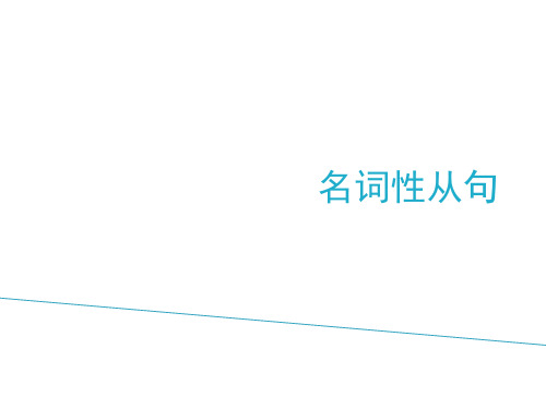 自己整理的非常好的名词性从句