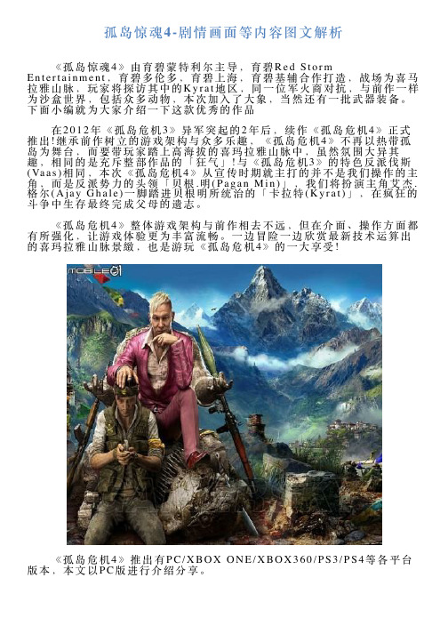 孤岛惊魂4剧情画面等内容图文解析