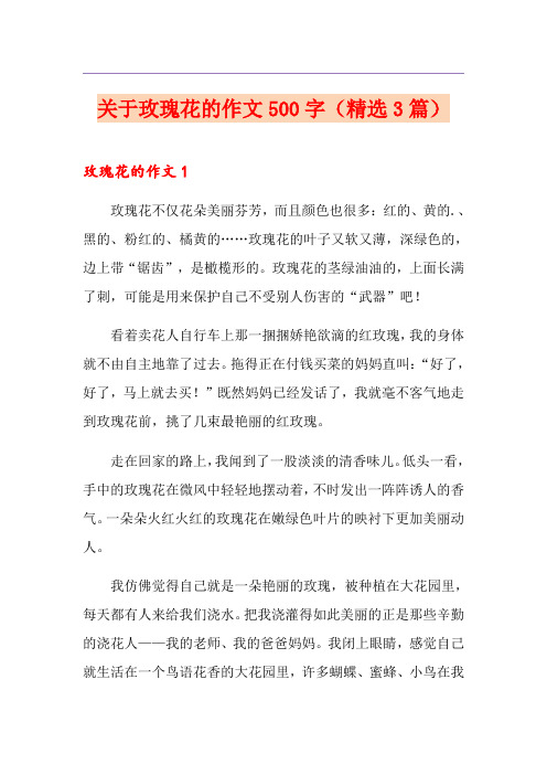 关于玫瑰花的作文500字(精选3篇)