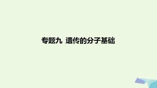 2018届高考生物一轮复习专题09遗传的分子基础含17高考真题及解析课件