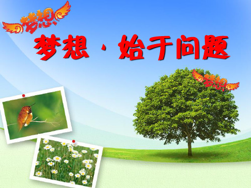 问题教学法简述