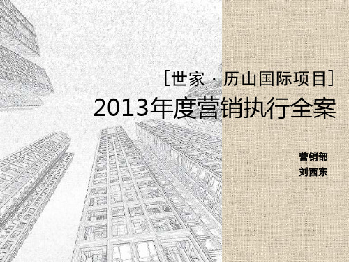 2013年度济南世家·历山国际项目营销执行全案