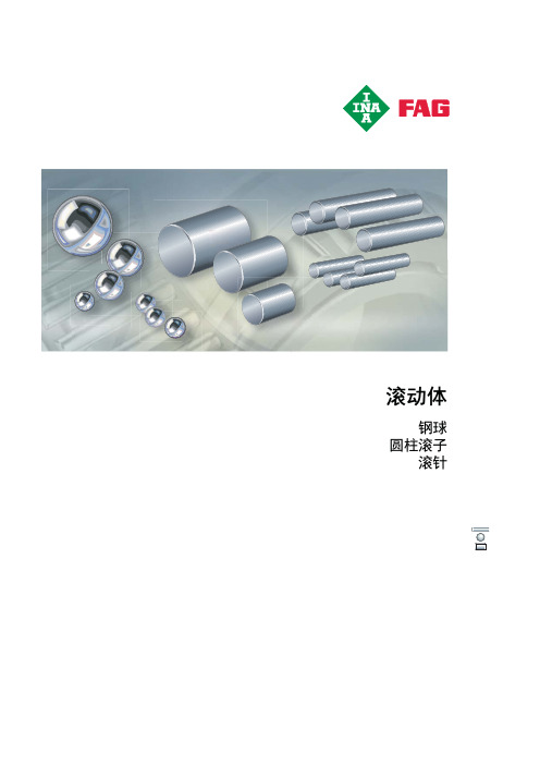 FAG&INA中文综合产品样本8滚动体1507-1533