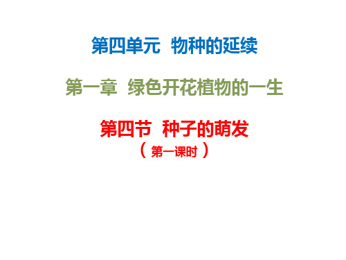 济南版八年级上册生物课件 第一章第四节 种子的萌发 第1课时