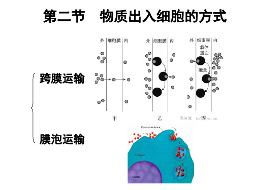 浙科版生物必修一高一10.29物质出入细胞的方式(共45张PPT)