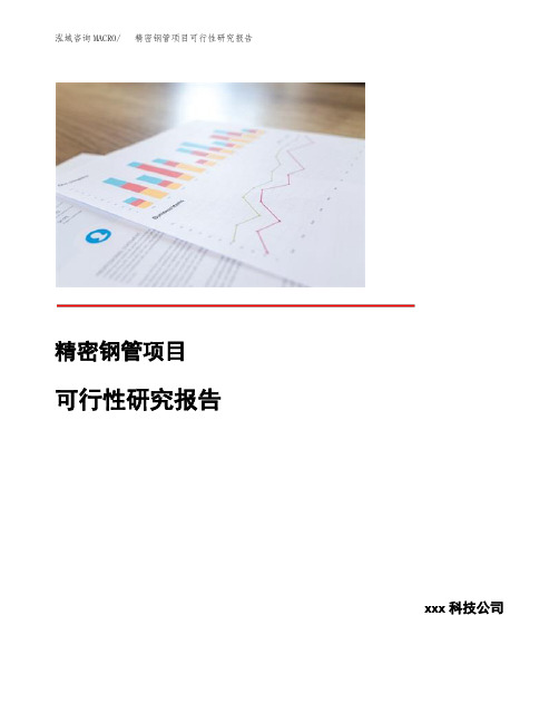 精密钢管项目可行性研究报告