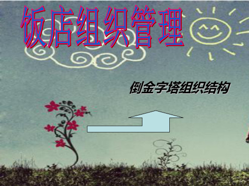 倒金字塔组织结构PPT课件