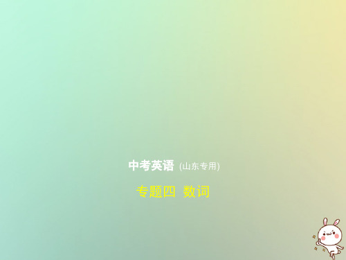 山东专用2019年中考英语复习专题四数词试卷部分含18年中考真题精解精析课件20180906457
