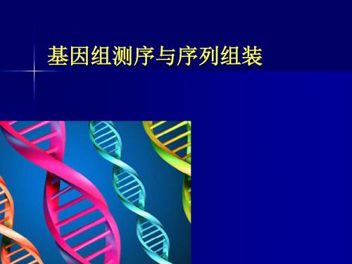 基因组测序和序列组装-文档资料