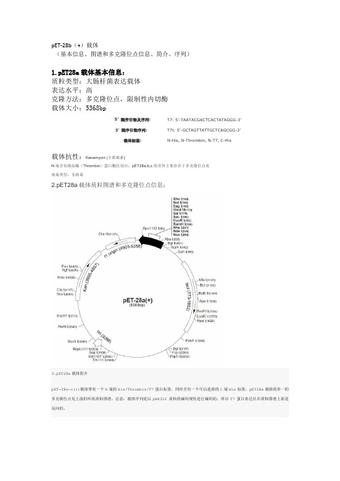 pET-28b(+)载体
