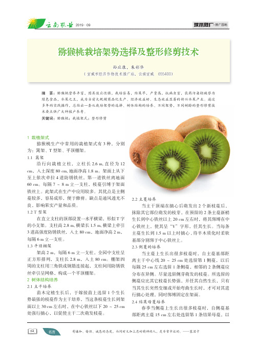 猕猴桃栽培架势选择及整形修剪技术