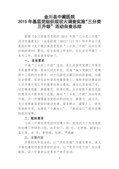 金川县卫生局2015年“三分类三升级”活动总结