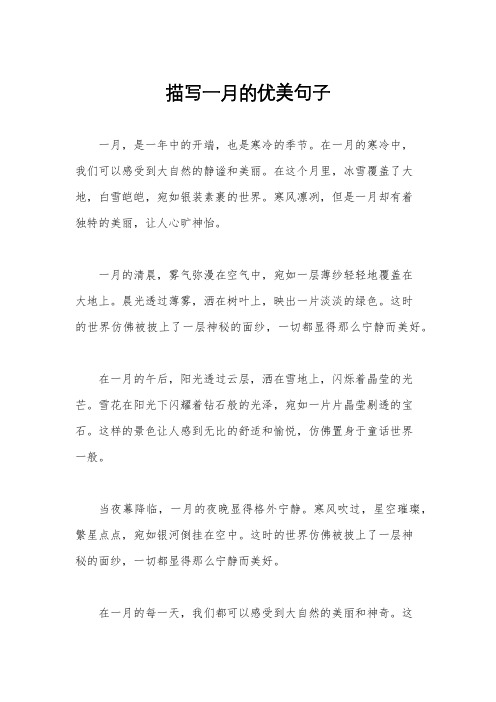 描写一月的优美句子
