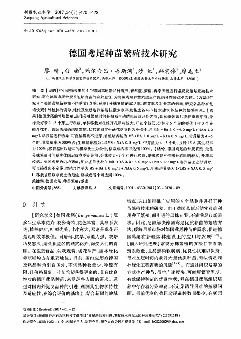 德国鸢尾种苗繁殖技术研究