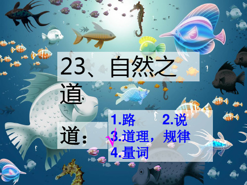 语文S版六年级上册《自然之道》