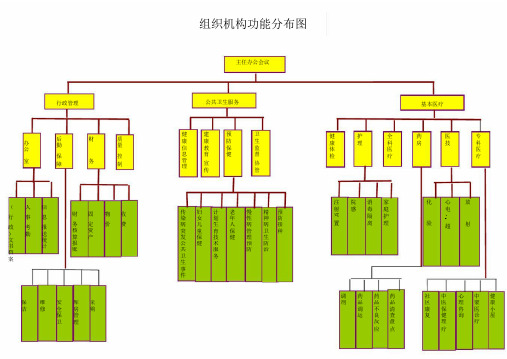 社区卫生服务中心组织机构功能分布图).doc