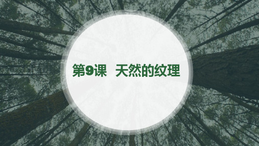 三年级上册美术课件-第9课 天然的纹理 ▏人教版 (共18张PPT)