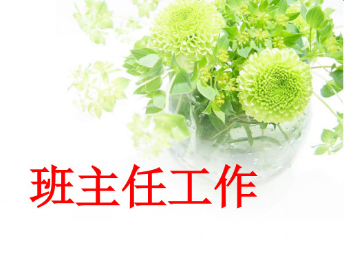 班主任工作培训全套课件
