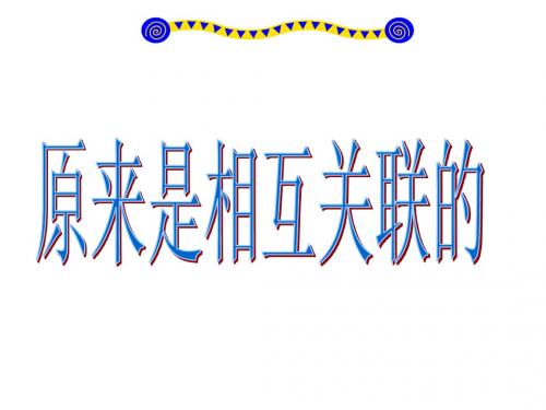教科版科学六年级上册第四单元《原来是相互关联的》