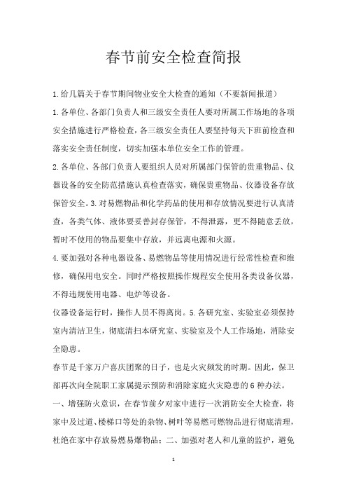 春节前安全检查简报_1
