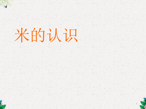 一年级下册数学课件-5.24认识米 ∣浙教版 (共14张PPT)
