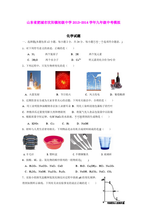 山东省肥城市汶阳镇初级中学2013-2014学年九年级中考模拟化学试题