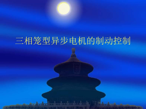 三相笼型异步电机的制动控制