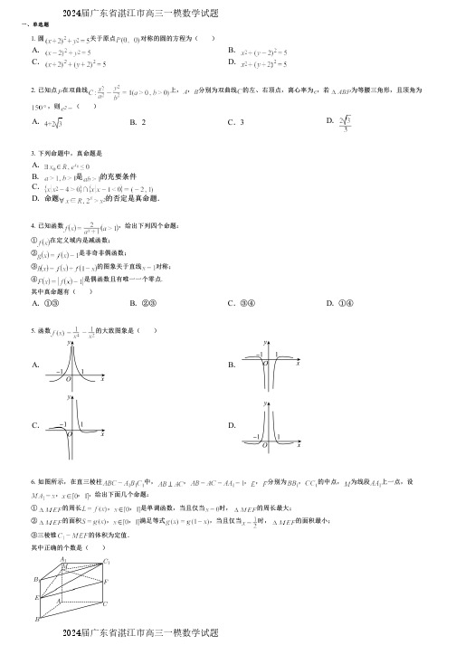 2024届广东省湛江市高三一模数学试题