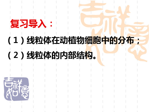 细胞呼吸教学课件