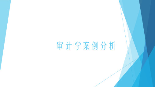 审计循环案例分析