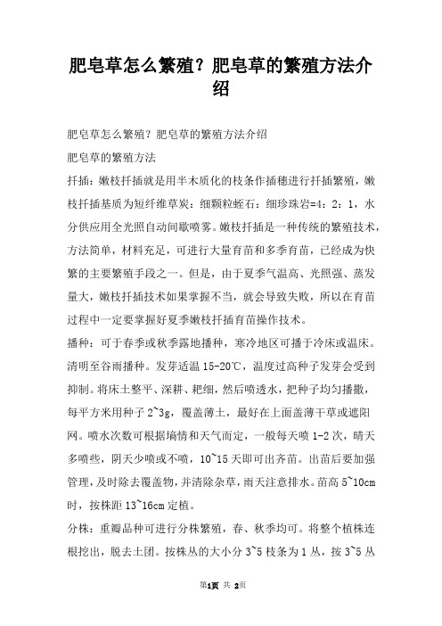 肥皂草怎么繁殖？肥皂草的繁殖方法介绍