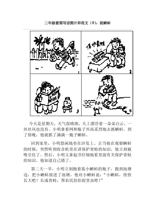 二年级看图写话范文—捉蝌蚪