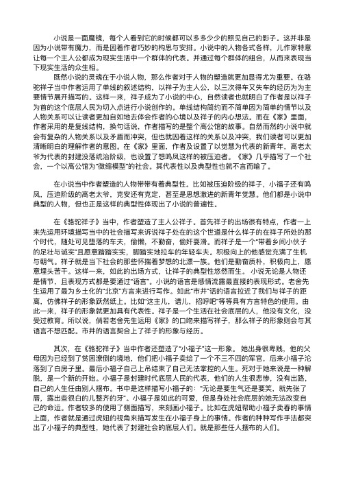 小说的典型性