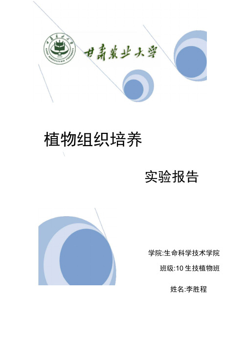 植物组织培养实验报告