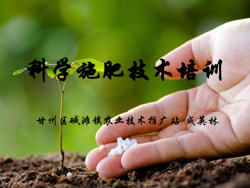 科学施肥技术培训