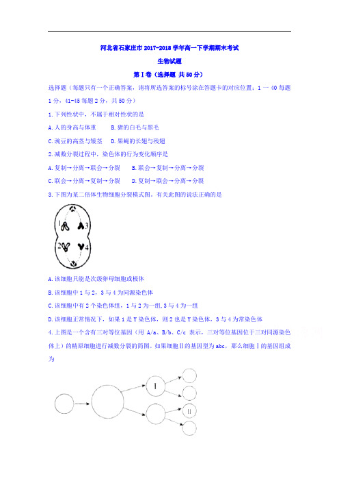 河北省石家庄市高一下学期期末考试生物试题