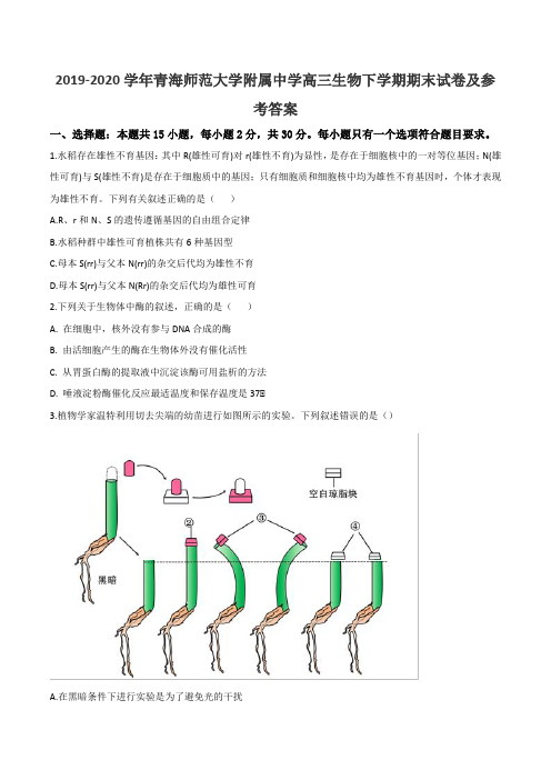 2019-2020学年青海师范大学附属中学高三生物下学期期末试卷及参考答案