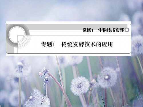传统发酵技术的应用中小学PPT教学课件