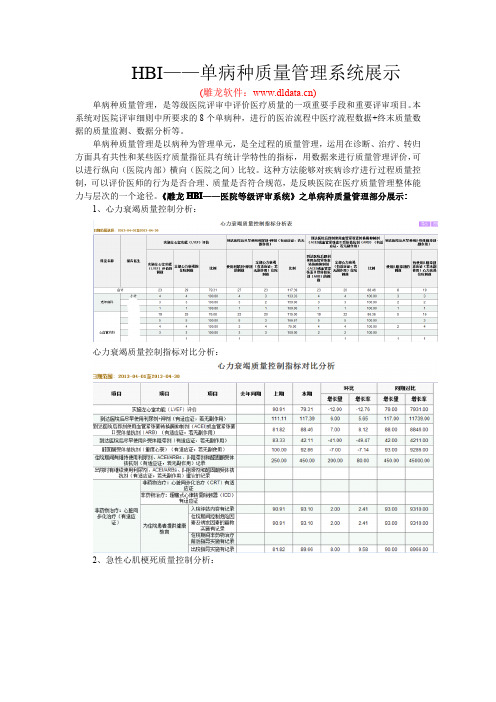雕龙HBI—单病种质量管理系统展示