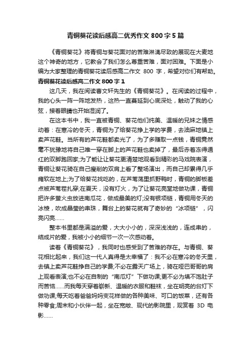 青铜葵花读后感高二优秀作文800字5篇