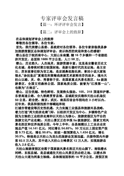 专家评审会发言稿