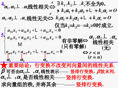 极大线性无关组