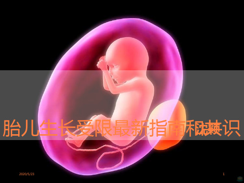 胎儿生长受限最新指南和共识PPT课件