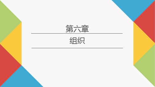 《社会工作行政实验教程》第六章 组织