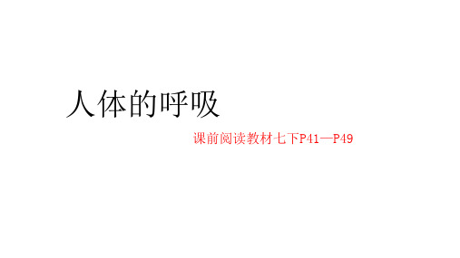 最新中考复习专项 人体的呼吸 (43张ppt)教育课件