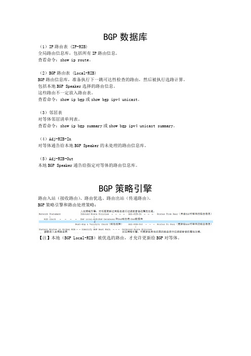 BGP数据库和策略引擎