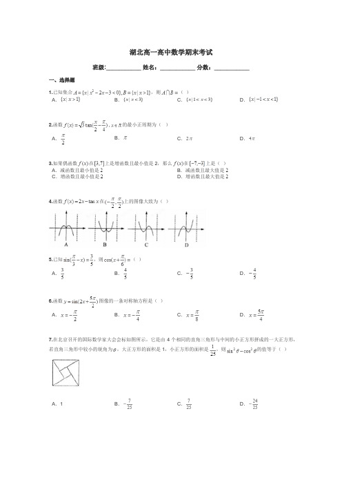 湖北高一高中数学期末考试带答案解析
