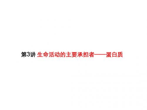 第3讲 生命活动的主要承担者—蛋白质