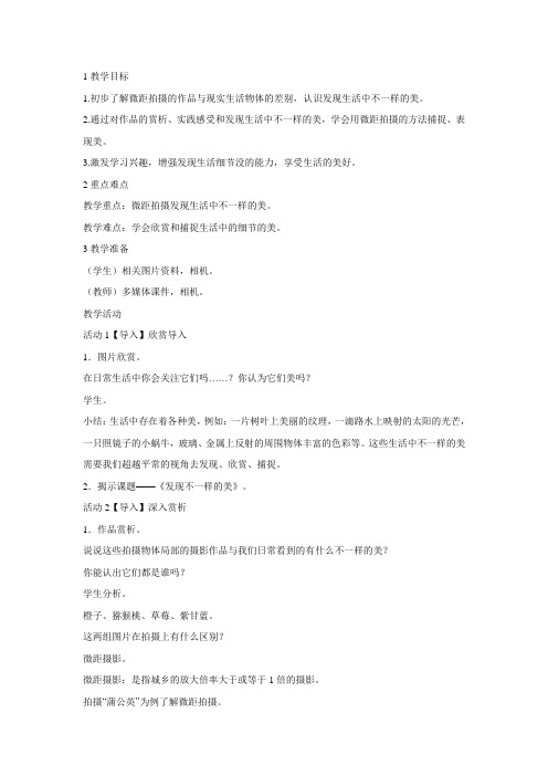 浙美版小学美术 8.发现不一样的美 教学设计